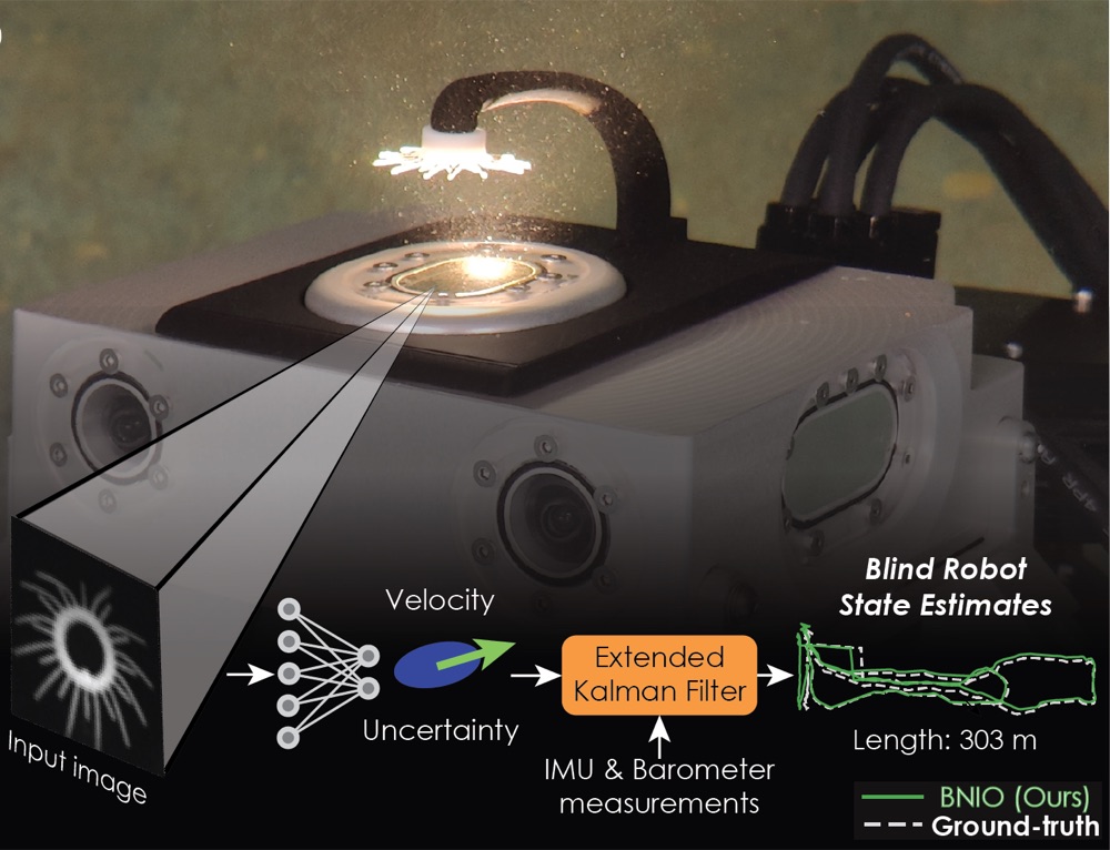 Bionic Neuromast Inertial Odometry